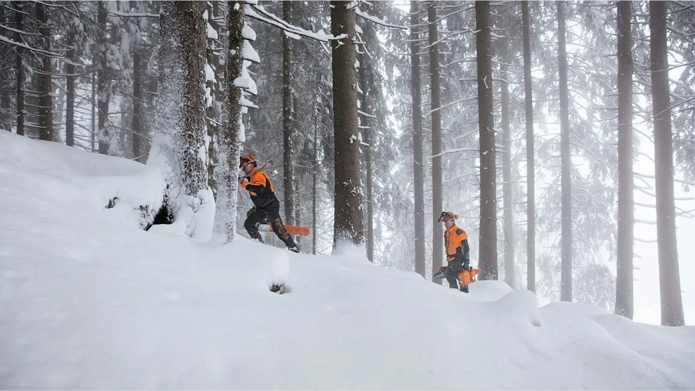 Two forestry workers in orange and black protective gear walk uphill through a snowy forest, each carrying a chainsaw. The tall pine trees are covered in snow, and the scene is misty and wintry.