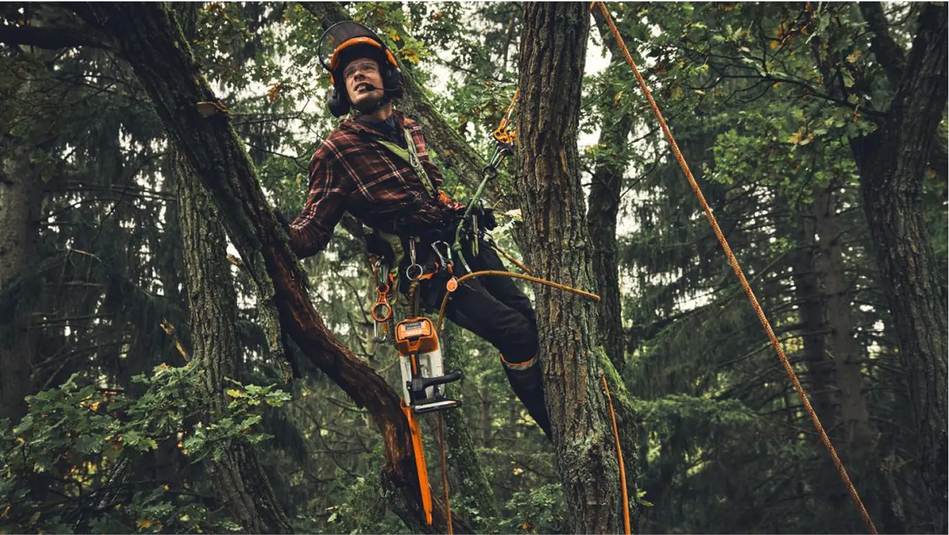 A professional arborist wearing safety gear and a helmet is secured with ropes while working high in a tree in a dense forest. A STIHL battery-powered chainsaw hangs from their harness as they prepare for tree maintenance.