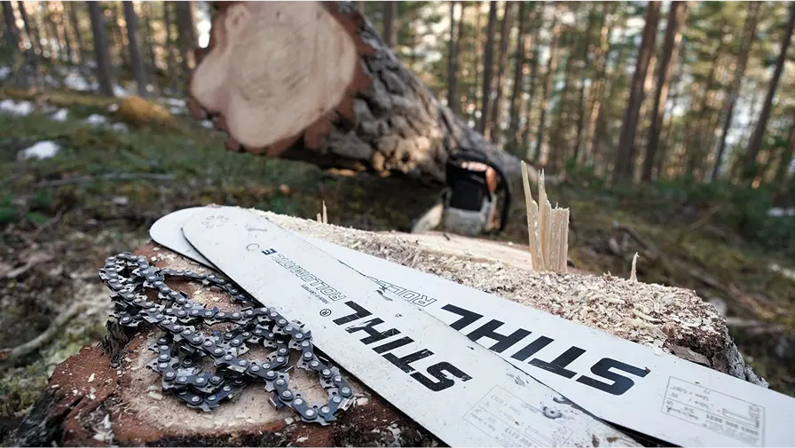 A close-up of a STIHL chainsaw bar and chain resting on a tree stump in a forest, with a large felled log in the background.