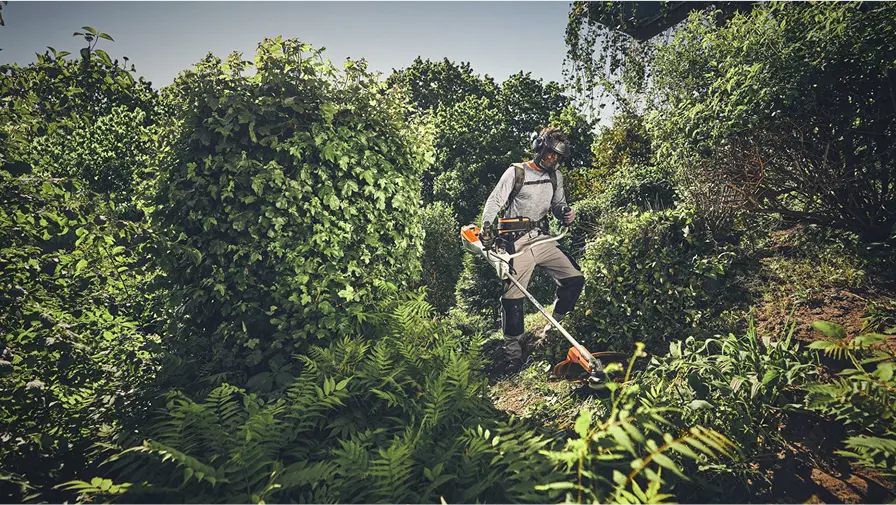 A man wearing protective gear trims overgrown vegetation in a dense garden using a STIHL brushcutter on a sunny day.